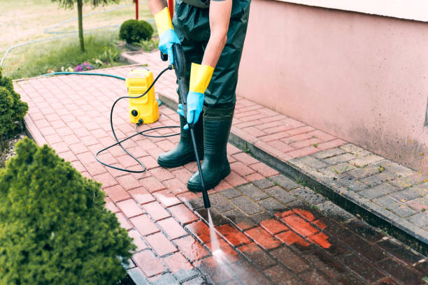 Best Window and Screen Pressure Cleaning in El Segundo, CA